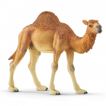 Фигурка - Одногорбый верблюд 